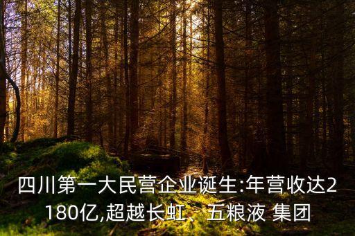 四川第一大民營企業(yè)誕生:年?duì)I收達(dá)2180億,超越長虹、五糧液 集團(tuán)