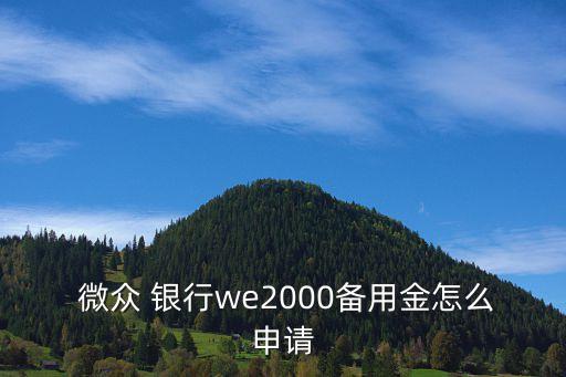  微眾 銀行we2000備用金怎么申請