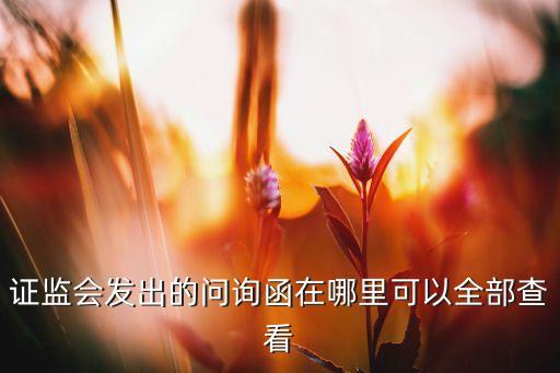 證監(jiān)會發(fā)出的問詢函在哪里可以全部查看