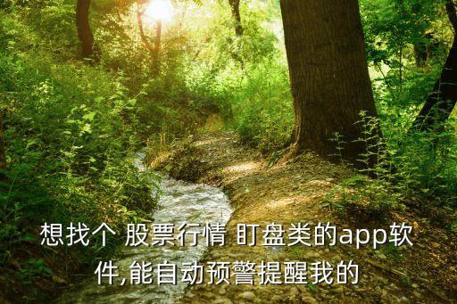 想找個 股票行情 盯盤類的app軟件,能自動預(yù)警提醒我的