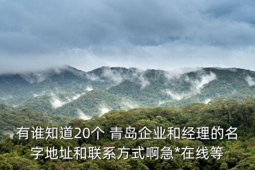 有誰知道20個(gè) 青島企業(yè)和經(jīng)理的名字地址和聯(lián)系方式啊急*在線等