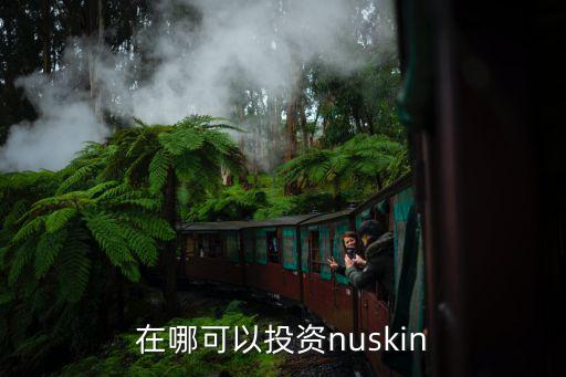 在哪可以投資nuskin