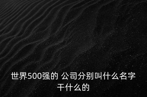 世界500強(qiáng)的 公司分別叫什么名字干什么的