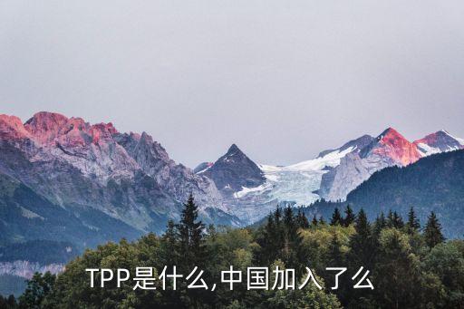 TPP是什么,中國加入了么