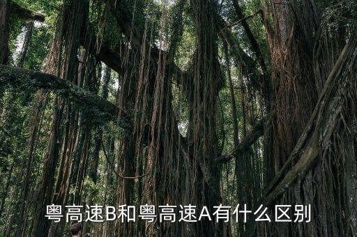 粵高速B和粵高速A有什么區(qū)別