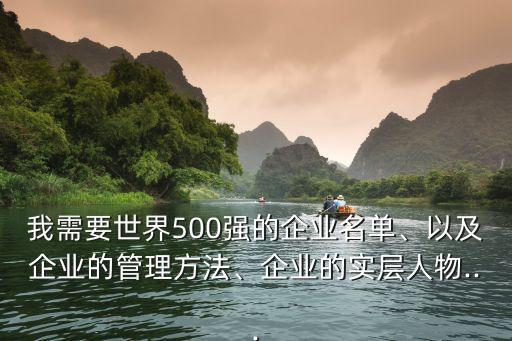 我需要世界500強(qiáng)的企業(yè)名單、以及企業(yè)的管理方法、企業(yè)的實(shí)層人物...