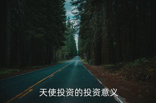  天使投資的投資意義