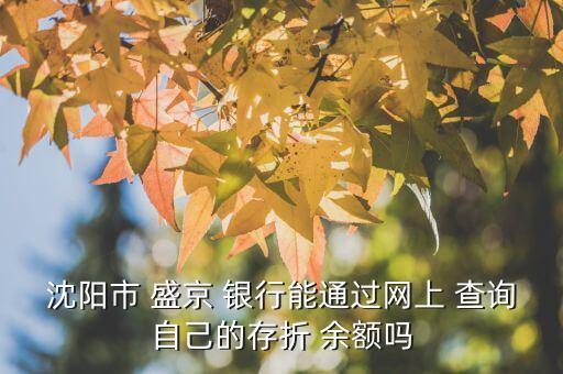 沈陽市 盛京 銀行能通過網(wǎng)上 查詢自己的存折 余額嗎