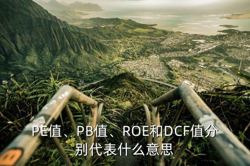 PE值、PB值、ROE和DCF值分別代表什么意思