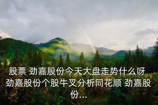 股票 勁嘉股份今天大盤走勢什么呀 勁嘉股份個股牛叉分析同花順 勁嘉股份...