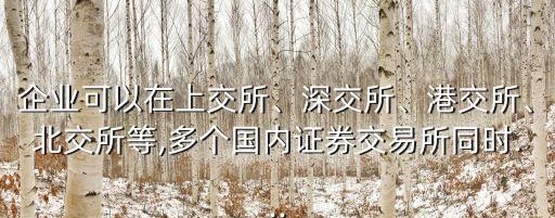 企業(yè)可以在上交所、深交所、港交所、北交所等,多個(gè)國(guó)內(nèi)證券交易所同時(shí)...