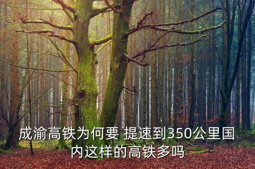 成渝高鐵為何要 提速到350公里國內(nèi)這樣的高鐵多嗎