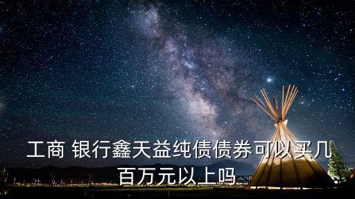  工商 銀行鑫天益純債債券可以買幾百萬元以上嗎