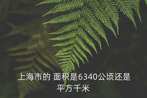  上海市的 面積是6340公頃還是平方千米