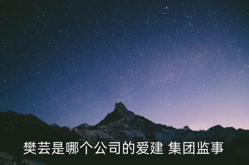 樊蕓是哪個公司的愛建 集團監(jiān)事