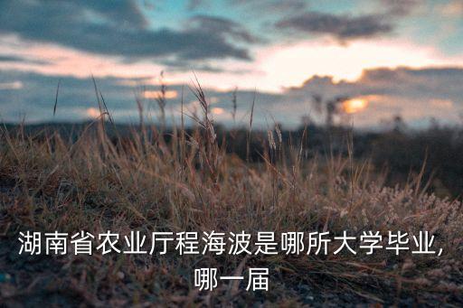 湖南省農(nóng)業(yè)廳程海波是哪所大學(xué)畢業(yè),哪一屆