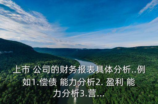 上市 公司的財(cái)務(wù)報(bào)表具體分析..例如1.償債 能力分析2. 盈利 能力分析3.營(yíng)...