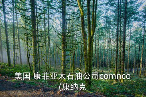 美國(guó) 康菲亞太石油公司comnco(康納克