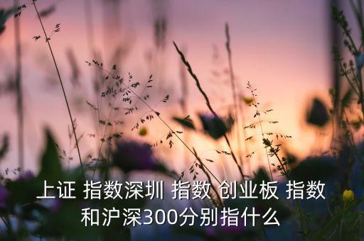 上證 指數(shù)深圳 指數(shù) 創(chuàng)業(yè)板 指數(shù)和滬深300分別指什么