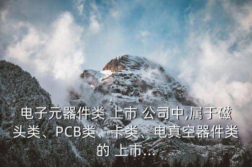 電子元器件類 上市 公司中,屬于磁頭類、PCB類、卡類、電真空器件類的 上市...