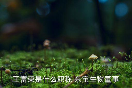 包頭東寶明膠股份有限公司,內(nèi)蒙包頭東寶生物技術(shù)股份有限公司