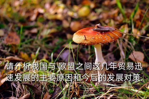 請(qǐng)分析我國與 歐盟之間這幾年貿(mào)易迅速發(fā)展的主要原因和今后的發(fā)展對(duì)策...