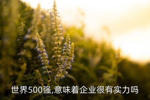 世界500強(qiáng),意味著企業(yè)很有實力嗎