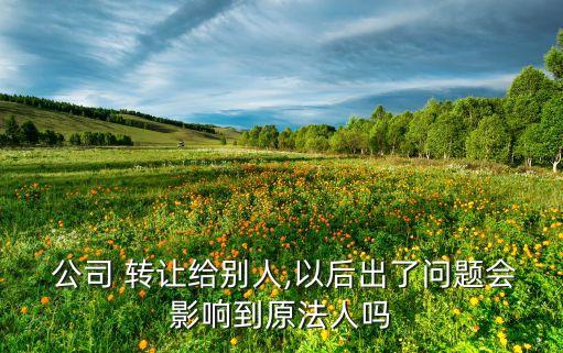  公司 轉(zhuǎn)讓給別人,以后出了問題會影響到原法人嗎