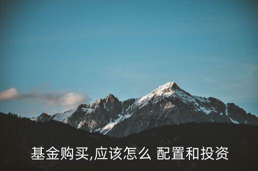  基金購(gòu)買(mǎi),應(yīng)該怎么 配置和投資