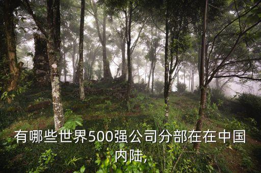 有哪些世界500強(qiáng)公司分部在在中國(guó)內(nèi)陸,