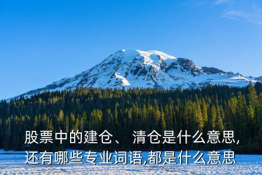  股票中的建倉、 清倉是什么意思,還有哪些專業(yè)詞語,都是什么意思