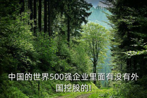 中國的世界500強企業(yè)里面有沒有外國控股的!