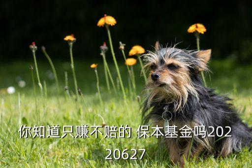 你知道只賺不賠的 保本基金嗎20220627