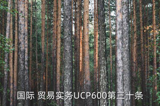 國際 貿易實務UCP600第三十條