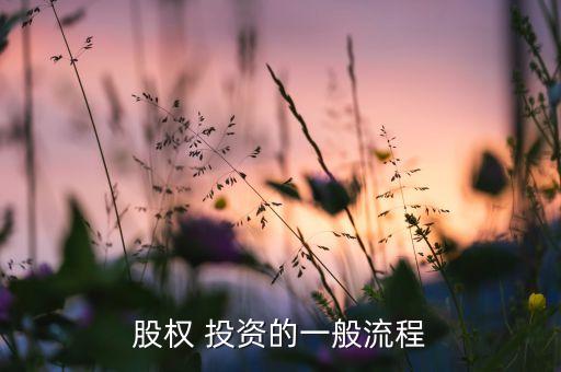 投資決策委員會(huì)職責(zé),董事會(huì)投資決策委員會(huì)