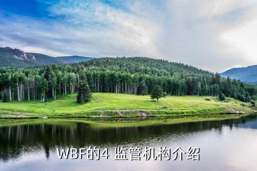 WBF的4 監(jiān)管機構介紹