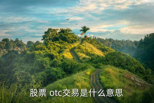 中國濱海新區(qū)otc,中國曼哈頓濱海新區(qū)