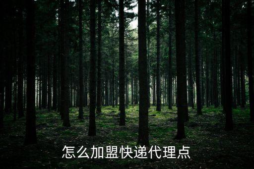 北京石創(chuàng)擔(dān)保服務(wù)有限公司