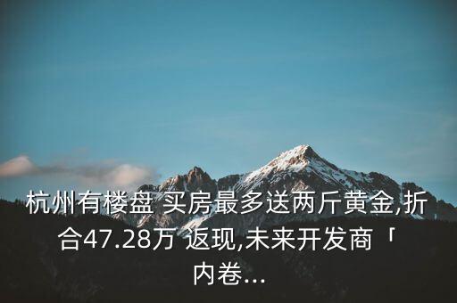 杭州有樓盤(pán) 買(mǎi)房最多送兩斤黃金,折合47.28萬(wàn) 返現(xiàn),未來(lái)開(kāi)發(fā)商「內(nèi)卷...