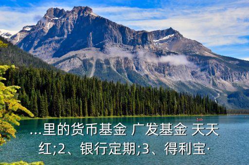 ...里的貨幣基金 廣發(fā)基金 天天紅;2、銀行定期;3、得利寶·