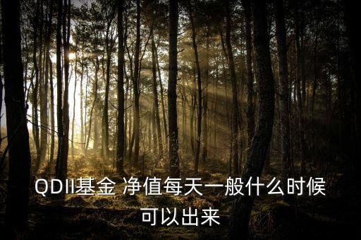 QDII基金 凈值每天一般什么時(shí)候可以出來(lái)