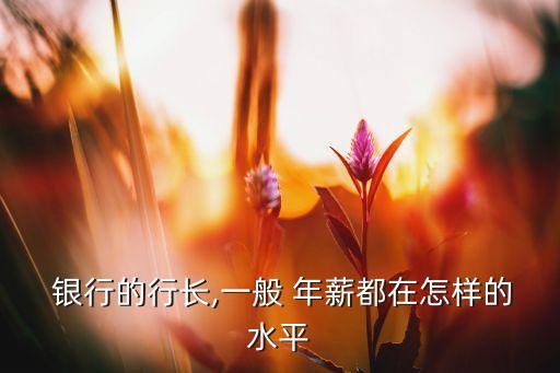  銀行的行長(zhǎng),一般 年薪都在怎樣的水平