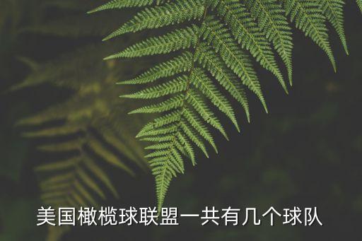 美國(guó)橄欖球聯(lián)盟一共有幾個(gè)球隊(duì)