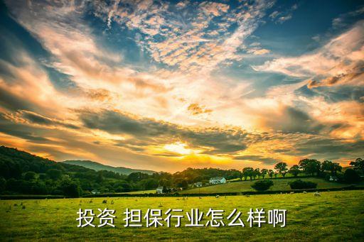 什么是融資擔(dān)?；?海南省融資擔(dān)保基金有限責(zé)任公司