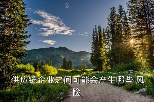  供應(yīng)鏈企業(yè)之間可能會(huì)產(chǎn)生哪些 風(fēng)險(xiǎn)