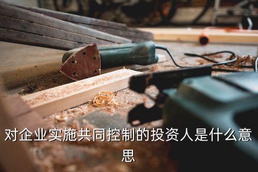 對企業(yè)實(shí)施共同控制的投資人是什么意思