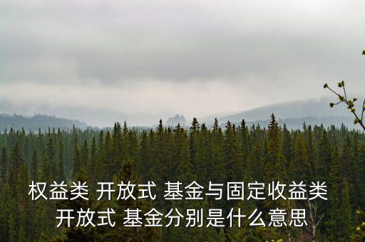 權(quán)益類 開放式 基金與固定收益類 開放式 基金分別是什么意思