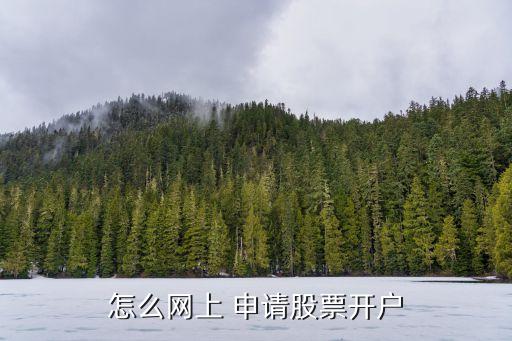 怎么網(wǎng)上 申請(qǐng)股票開戶