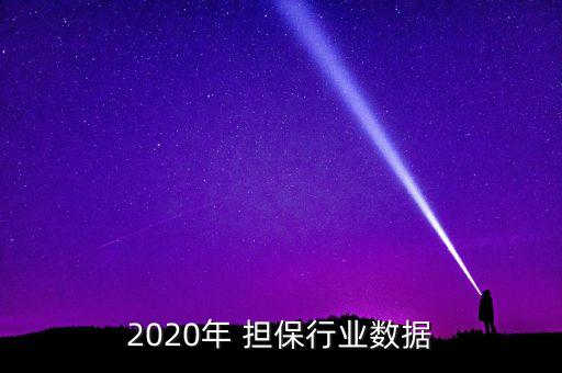 2020年 擔(dān)保行業(yè)數(shù)據(jù)