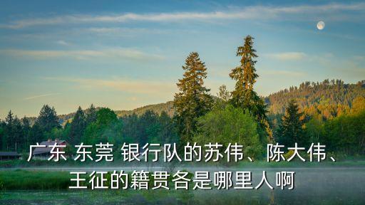 廣東 東莞 銀行隊的蘇偉、陳大偉、王征的籍貫各是哪里人啊